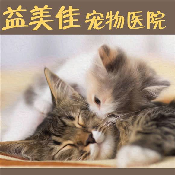 益美佳宠物医院:北京城区昌平区天通苑附近