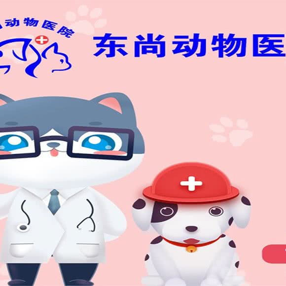 东尚动物医院:北京城区昌平区天通苑附近