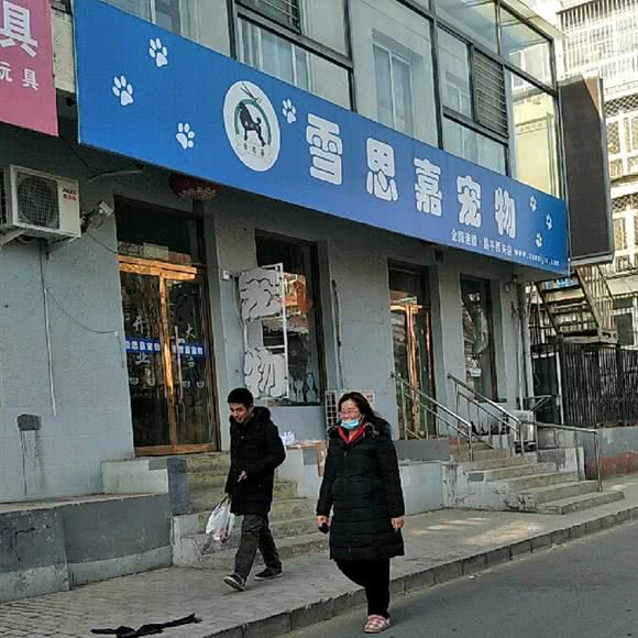 雪思嘉狗狗:北京城区昌平区昌平镇附近