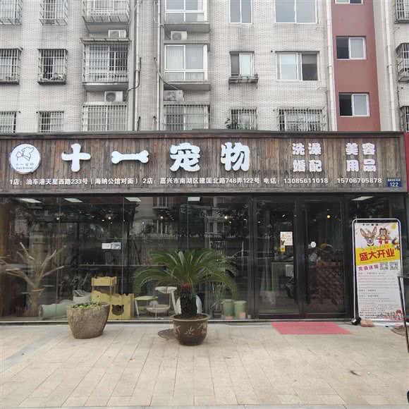 十一宠物:嘉兴市秀洲区汽车北站附近