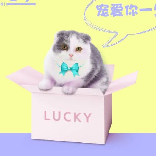 宠你宠物:北京城区昌平区昌平镇附近