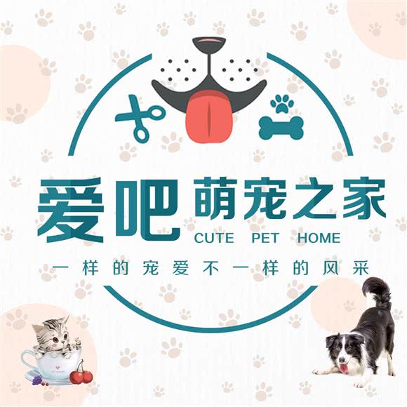 爱吧萌宠之家(海宁银泰步行街店):嘉兴市海宁市海洲街道附近
