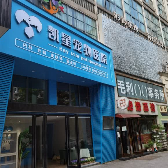凯星宠物医院:嘉兴市海宁市海洲街道附近