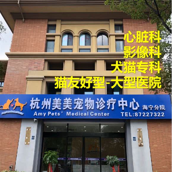 美美宠物诊疗中心(海宁文苑南路分院):嘉兴市海宁市海洲街道附近
