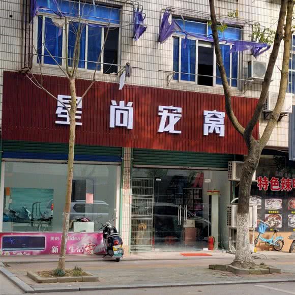 星尚宠窝:嘉兴市桐乡市梧桐街道附近