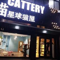 喵星球猫屋:嘉兴市桐乡市梧桐街道附近