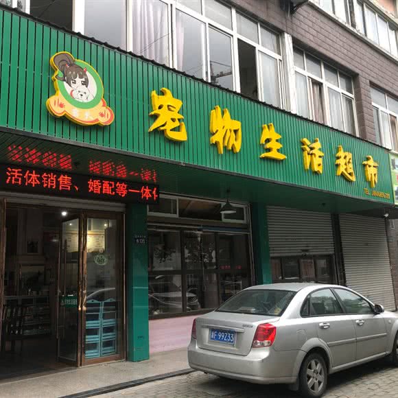 名犬宠物生活馆:嘉兴市桐乡市梧桐街道附近