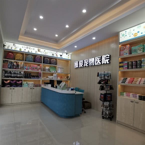 臻爱宠物医院:嘉兴市桐乡市梧桐街道附近
