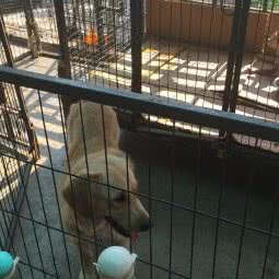 万千宠爱:湖州市吴兴区吉山/广电中心附近