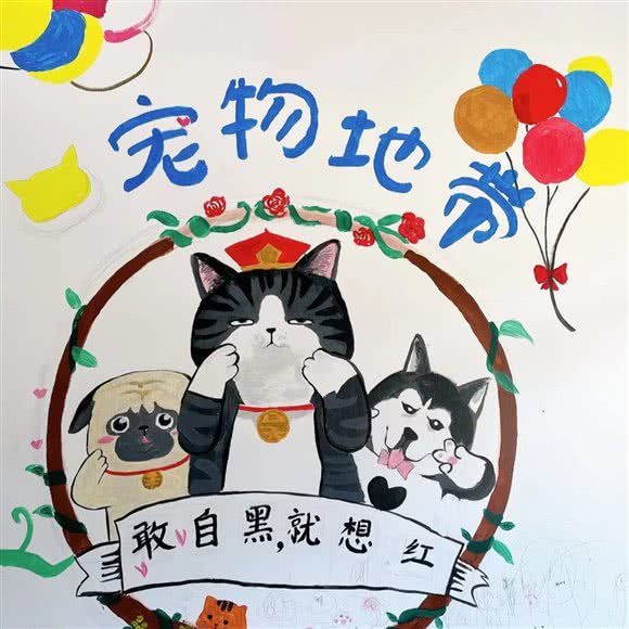 宠物地带(高富路职院店):湖州市吴兴区大学城/湖师院附近