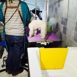 小精灵·Pet Home 宠物生活馆(湖东路店):湖州市吴兴区湖东附近