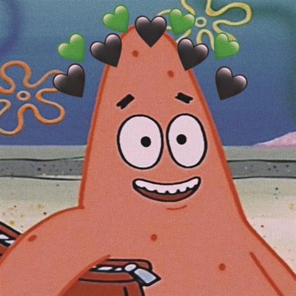 星宠宠物店:湖州市吴兴区月河/莲花庄附近