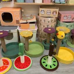 PETTING CAT PARADISE高端一站式小猫会所:湖州市吴兴区红丰附近