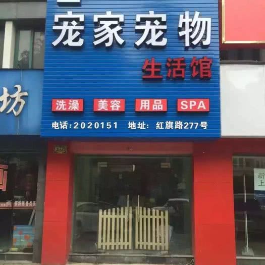 宠家狗狗:湖州市吴兴区红丰附近