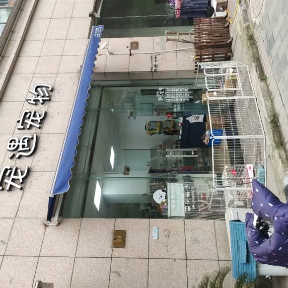 宠遇宠物:湖州市吴兴区凤凰附近