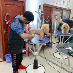 宠我宠物生活馆:绍兴市越城区大滩附近