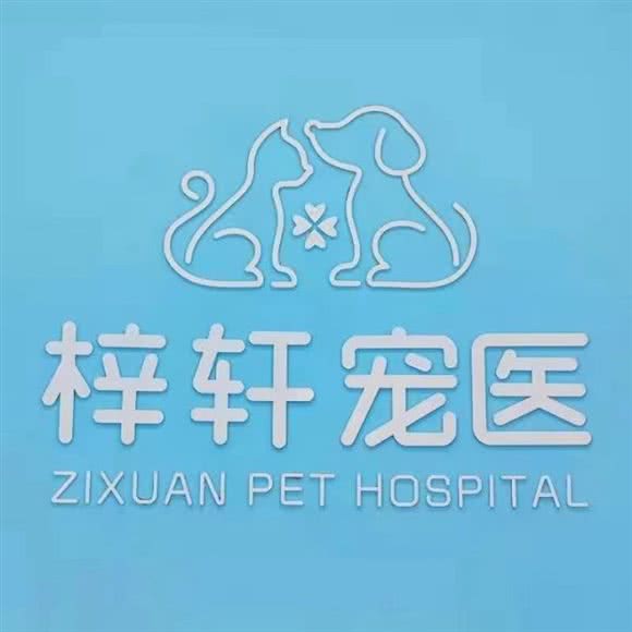 梓轩宠物医院:绍兴市越城区袍江附近