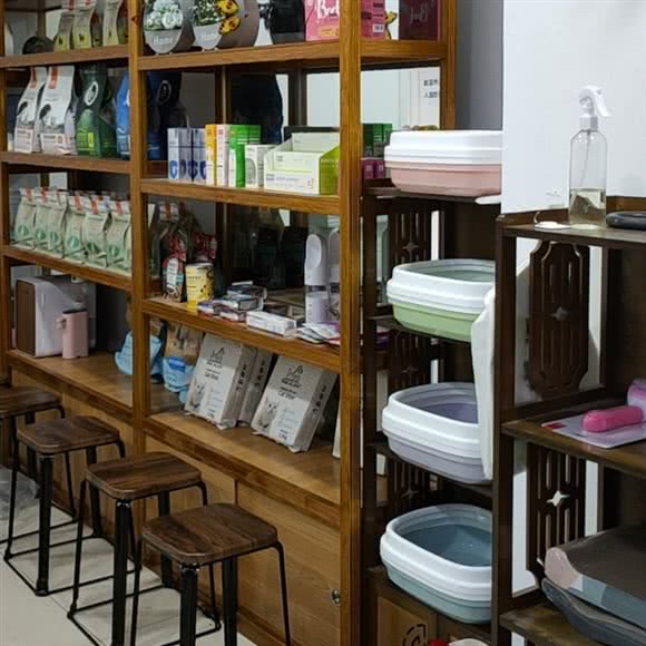 s.s.y.精品猫舍:绍兴市越城区投醪河附近