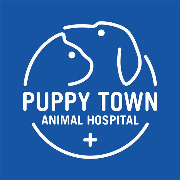 芭比堂爱心动物医院(越城可乐分院):绍兴市越城区城南附近