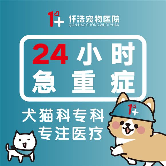 仟浩·三沐宠物医院(绍兴总院):绍兴市越城区城南附近