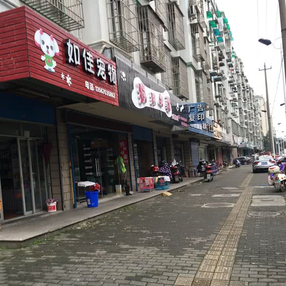 如佳宠物:绍兴市越城区城南附近