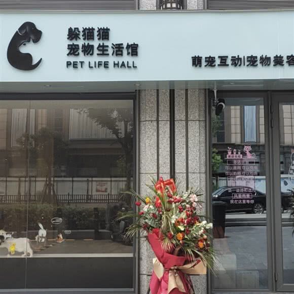 躲猫猫宠物生活馆:绍兴市越城区中兴南路附近