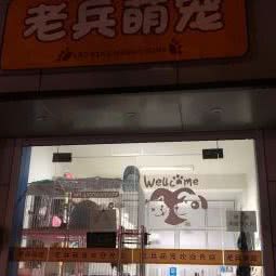 老兵萌宠:绍兴市越城区鲁迅故里附近