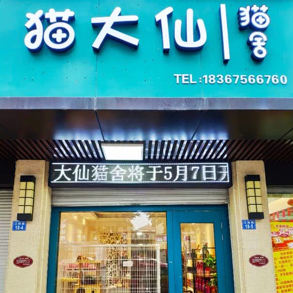 猫大仙:绍兴市上虞区百官街道附近