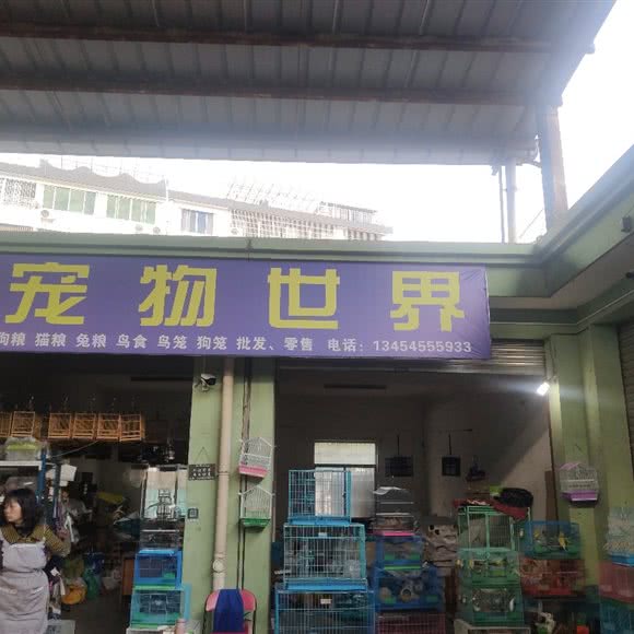 宠物世界:绍兴市诸暨市暨阳街道附近