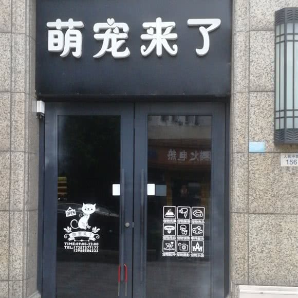 萌宠来了:绍兴市诸暨市暨阳街道附近