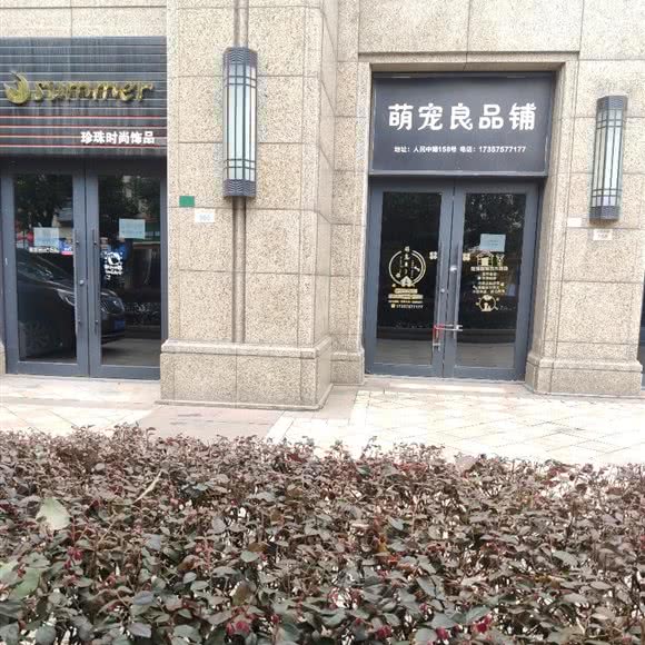 萌宠良品铺:绍兴市诸暨市暨阳街道附近