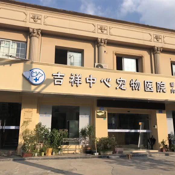 吉祥中心宠物医院:绍兴市诸暨市暨阳街道附近