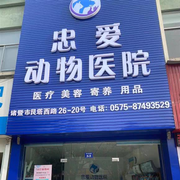 忠爱动物医院:绍兴市诸暨市暨阳街道附近