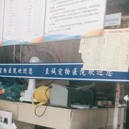 至诚宠物医院(金凤小区店):绍兴市诸暨市暨阳街道附近