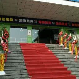 皇家宠物店:绍兴市诸暨市大唐镇附近