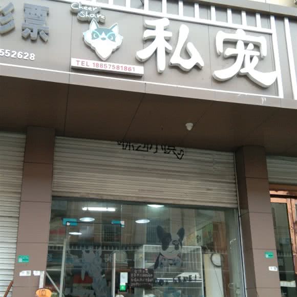 私宠:绍兴市诸暨市大唐镇附近