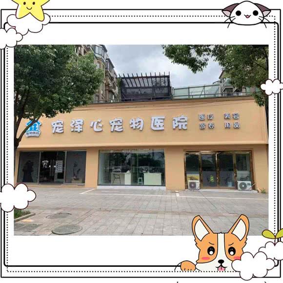 宠泽心宠物医院(大唐分院):绍兴市诸暨市大唐镇附近