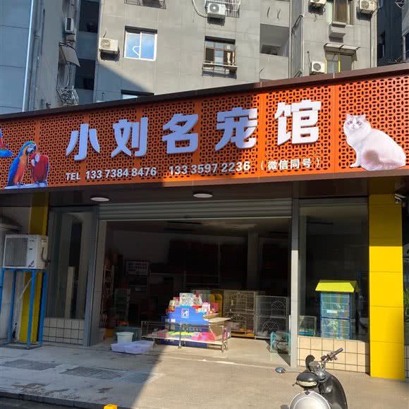 小刘六名宠馆:金华市婺城区江北附近