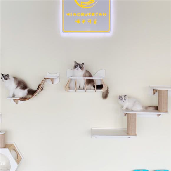 喵不可言撸猫馆:金华市婺城区江北附近