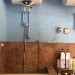 派乐屋宠物店:北京城区昌平区昌平镇附近