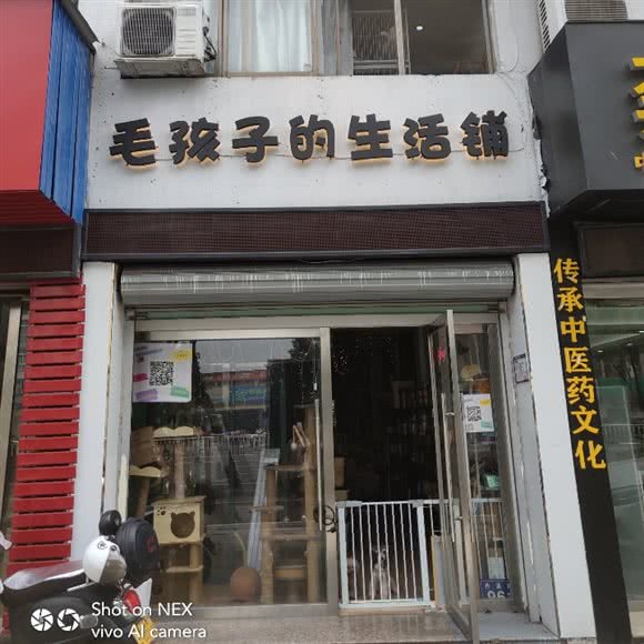 Morning 猫柠:金华市婺城区江南附近