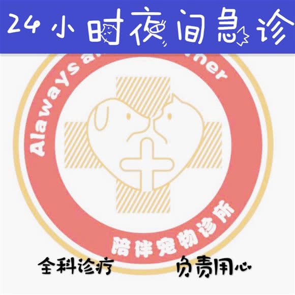 陪伴宠物诊所:金华市婺城区江南附近