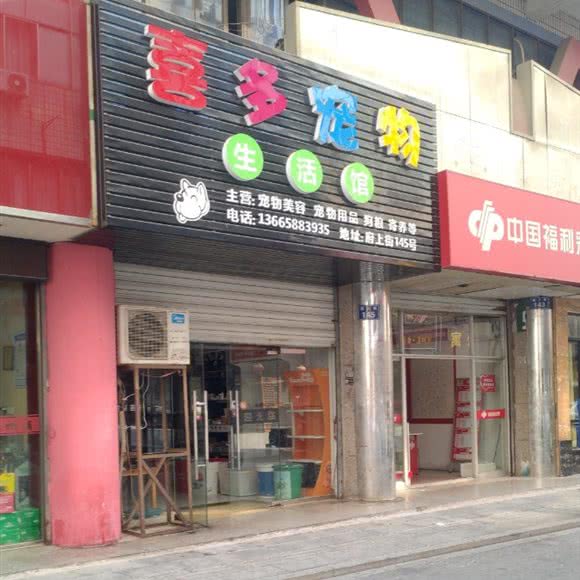 喜多宠物:金华市婺城区青春路附近