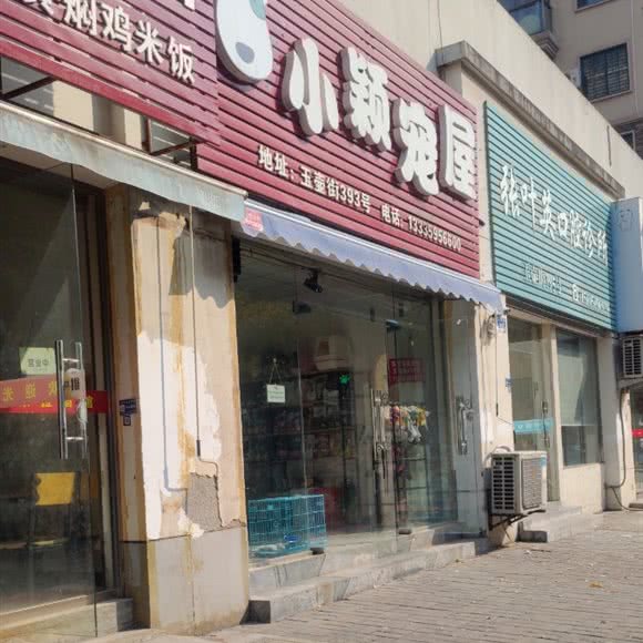 小颖宠屋(玉壶街):金华市婺城区道院塘附近