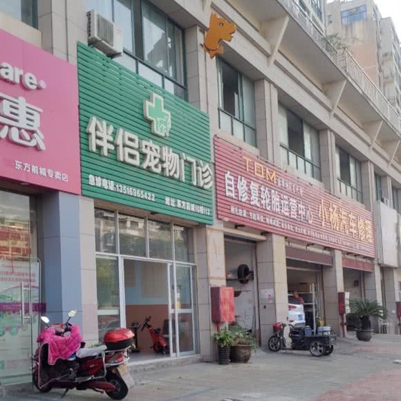 伴侣宠物门诊:金华市婺城区道院塘附近