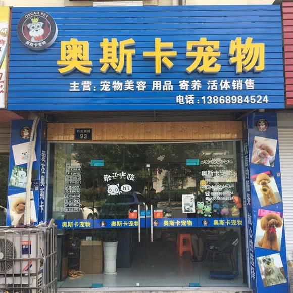 奥斯卡宠物:金华市婺城区骆家塘附近
