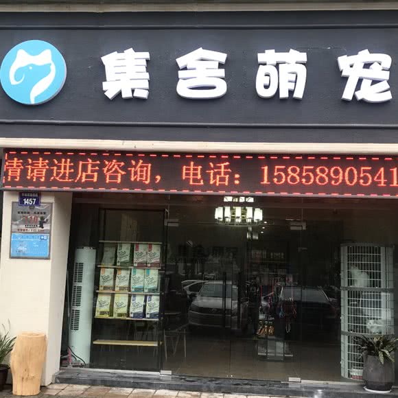 集舍萌宠:金华市婺城区新农贸附近