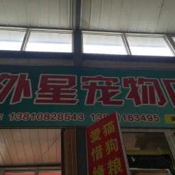 外星宠物店:北京城区朝阳区望京附近