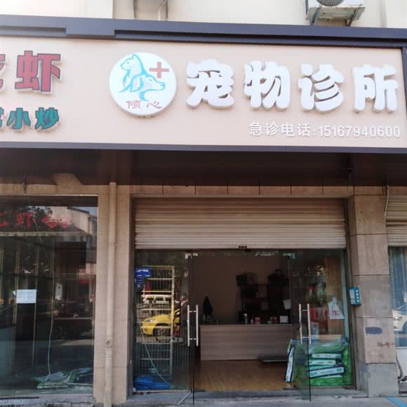 倾心宠物诊所:金华市婺城区白龙桥附近