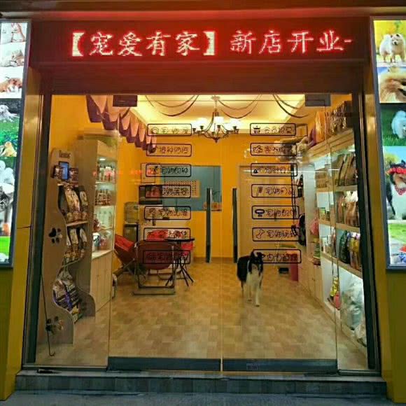 宠爱有家(东莱路店):金华市婺城区东莱路附近